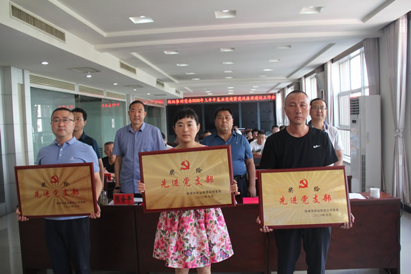 隴運集團公司黨委召開2020年上半年基層黨建暨黨風廉政建設(shè)工作會議